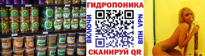 купить   Кедровый  kraken tor  Cannafood марихуана 