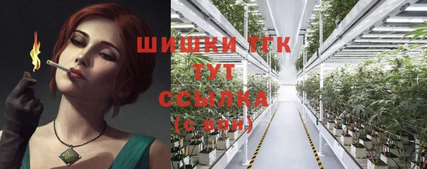 ПСИЛОЦИБИНОВЫЕ ГРИБЫ Бородино