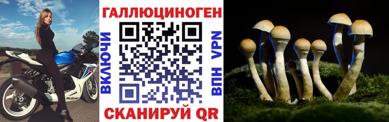 Галлюциногенные грибы Psilocybine cubensis  ОМГ ОМГ ССЫЛКА  Кедровый  закладки 